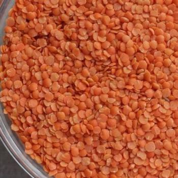Lentils