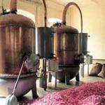 Distillation of Rose Water