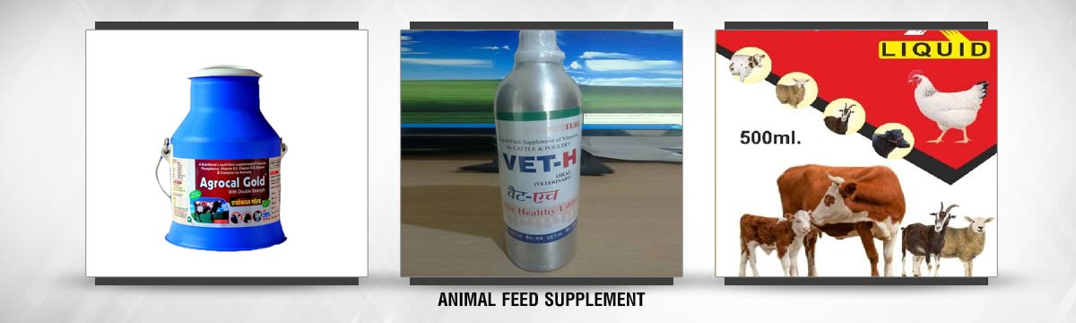 Aerovet Animal Health Care - Vet-H Liquid Animal Feed Supplement Manufacturer Supplier from Saharanpur Aerovet Animal Health Care - Vet-H Liquid Animal Feed Supplement Manufacturer Supplier from Saharanpur