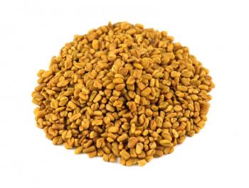Oil Seeds