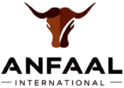 Anfaal International