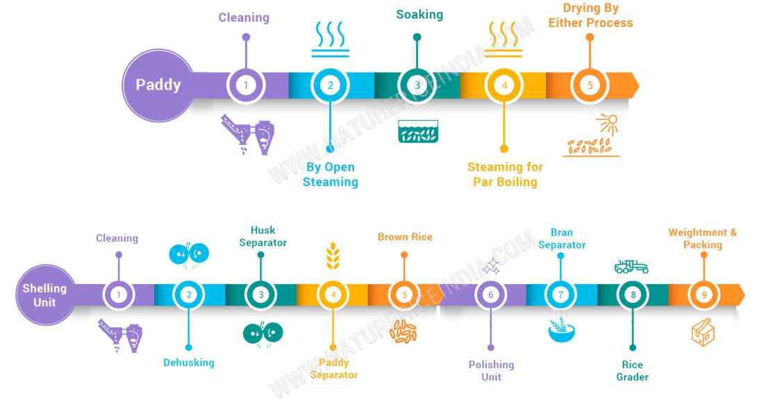 Rice Processing Flow Chart