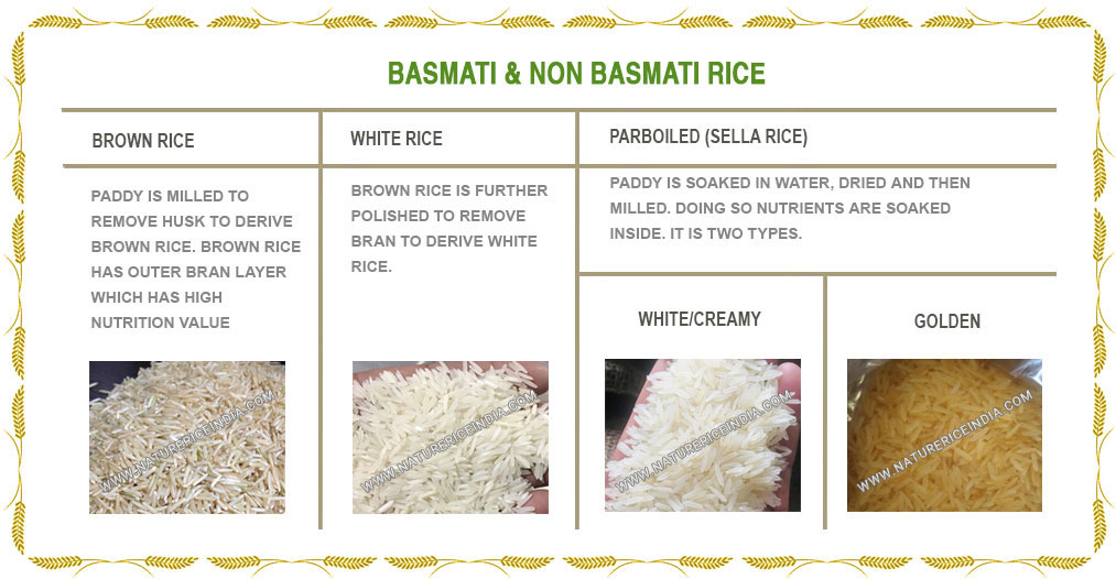 Rice can be classified in two ways: