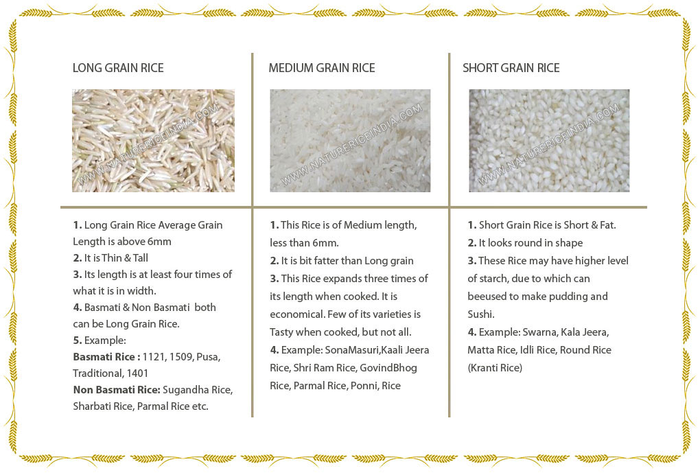 Long Grain, Medium Grain and Short Grain Rice
