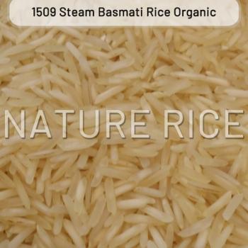1509 Organic Basmati Rice