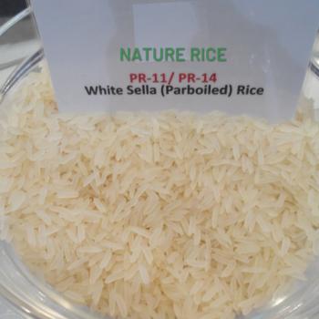 PR 11-PR 14 Rice