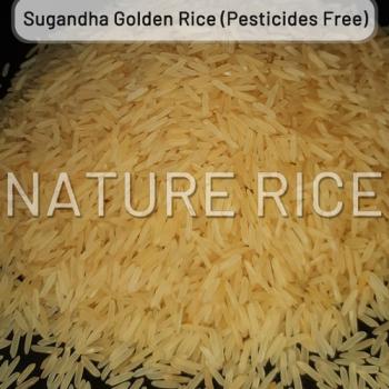 Sugandha Organic Rice
