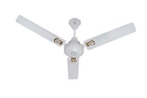 White Ceiling Fans