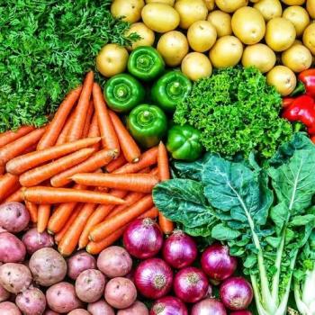 Fresh Vegetables