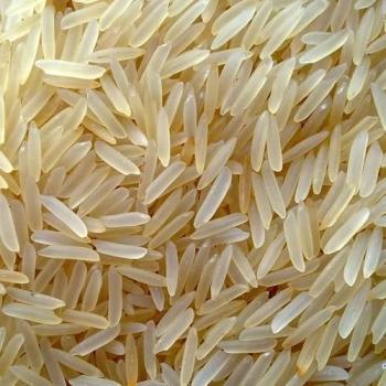 1401 Pusa Basmati Rice