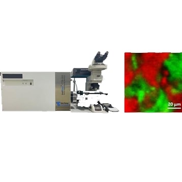 Pharmaceutical Api Pharmaceutical Api