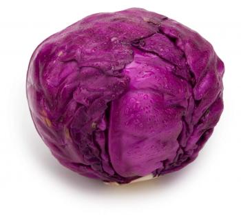 Fresh Purple Cabbage