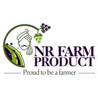 NR Farm Product Nashik - Premium Yellow Raisins Manufacturer and Supplier