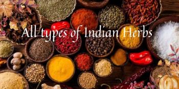 All Types Of Indian Herbs