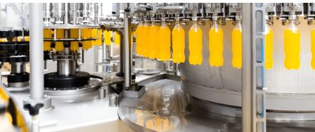 A Case Study of the Food and Beverage Industry