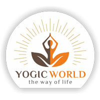 The Yogic World