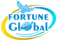 Fortune Global