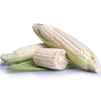 Fresh Maize