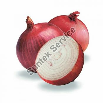 Fresh Onion