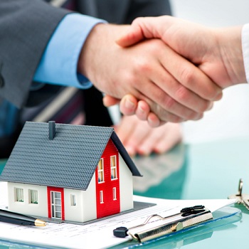 Real Estate Agent