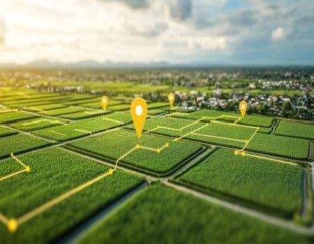 Commercial Property