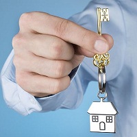 Real Estate Consultant