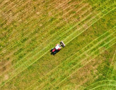 Land Rejuvenation & Profitable Plantations (LRPP)