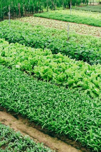 Integrated Organic Farm Management (IOFM)