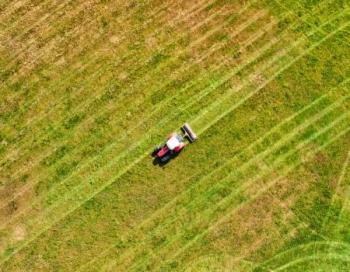 Land Rejuvenation & Profitable Plantations (LRPP)