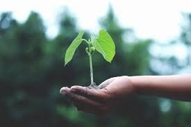 We provide 7 years free maintenance