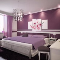 Interior Designer