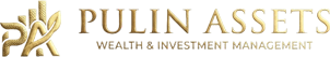 PULIN ASSETS