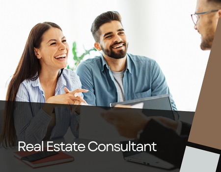 Real Estate Consultant