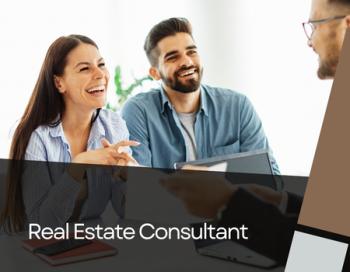 Real Estate Consultant