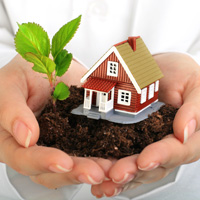 Real Estate Consultant