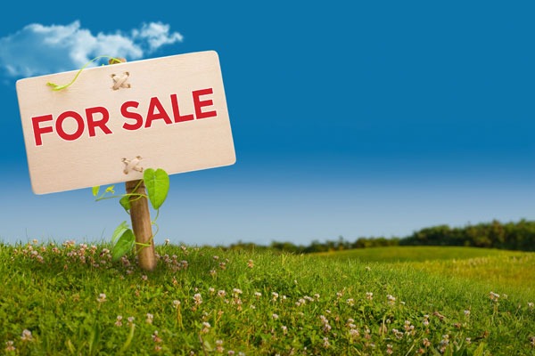 Agricultural Land Acquisition (Buy/Sell)