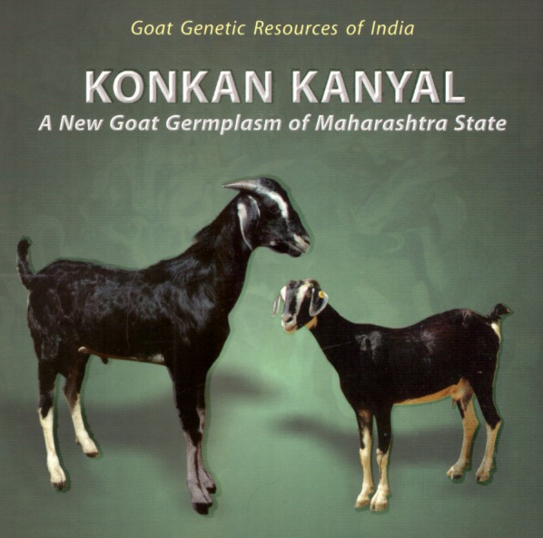 Animal Husbandry