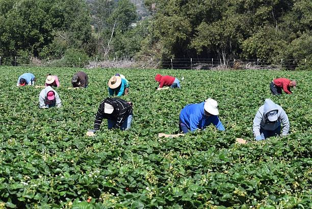 LABOUR ASSISTANCE