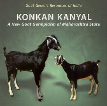 Animal Husbandry