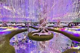 Light & Sound Shows Tour Packages