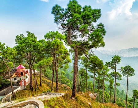 Almora Tour Packages