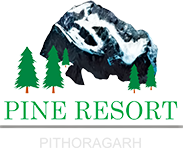 Hotel Pine Resort
