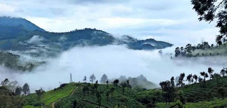 Sightseeing Tour Packages