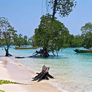 Baratang Island Tour Packages