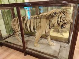 Museums Tour Packages