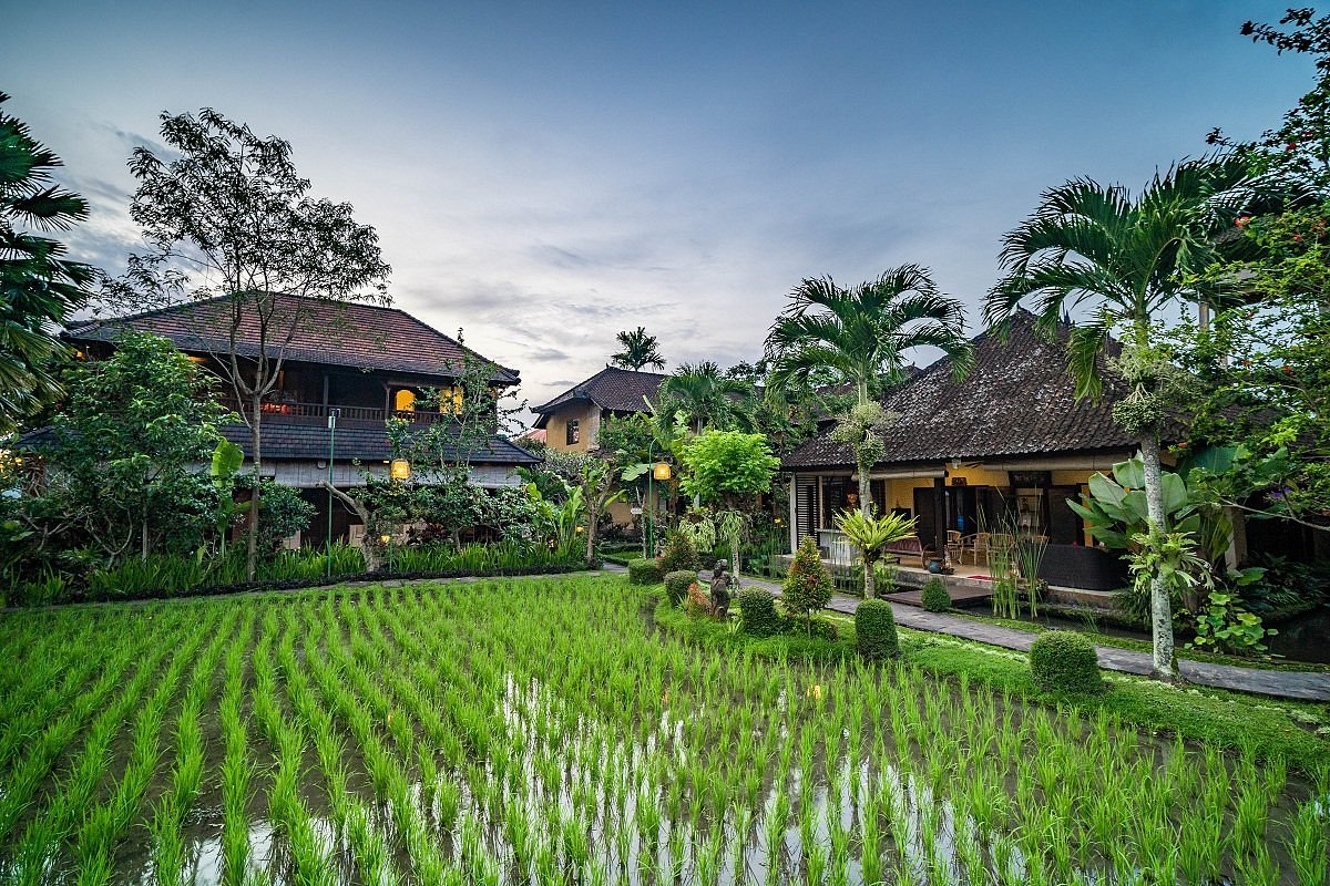 Bliss Spa Tour Packages