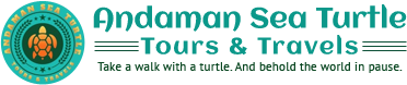 Andaman Sea Turtle Tours & Travels