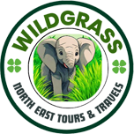 WildGrass North East Tours And Travels