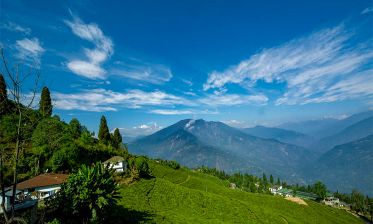 Pelling Tour Packages