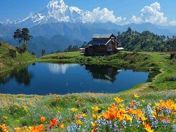 Sightseeing Tour Packages